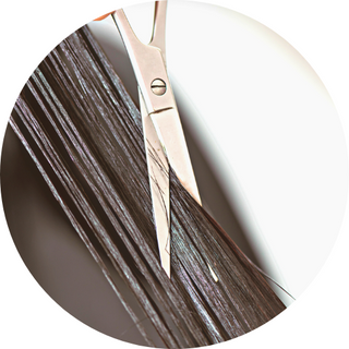 Hairstyling | BeautyTools