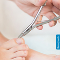 Nagelknipper Voor Ingegroeide Nagels - Diabetes - 15 mm (NN-0065) | BeautyTools Online